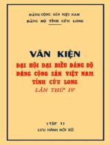 Văn kiện đại hội đại biểu đảng bộ đảng cộng sản Việt Nam tỉnh Cửu Long lần thứ IV : Lưu hành nội bộ / Đảng cộng sản Việt Nam. Đảng bộ tỉnh Cửu Long . T. 1