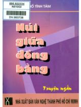 Núi giữa đồng bằng : Tập truyện ngắn / Hồ Tĩnh Tâm