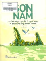 Gốc cây, cục đá & ngôi sao - danh thắng miền Nam : Tạp văn / Sơn Nam