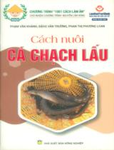 Cách nuôi cá chạch lấu / Phạm Văn Khánh, Đặng Văn Trường, Phan Thị Phương Loan