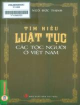 Tìm hiểu luật tục các tộc người ở Việt Nam / Ngô Đức Thịnh