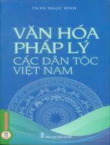 Văn hóa pháp lý các dân tộc Việt Nam / Trần Ngọc Bình chủ biên