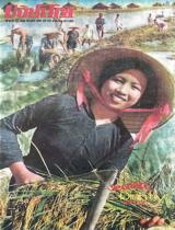 Vĩnh Trà : Cơ quan của Đảng bộ Đảng Cộng sản Việt Nam tỉnh Cửu Long
